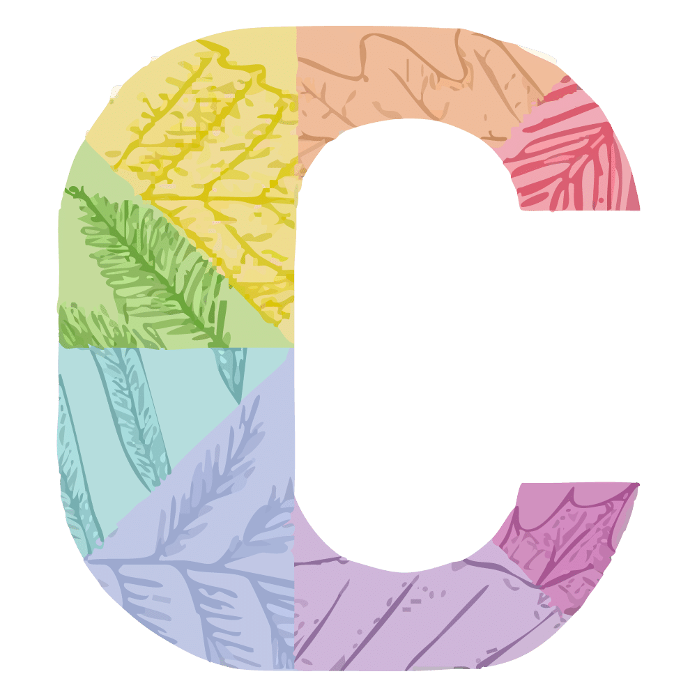 Logo of Chestnuts Primary School